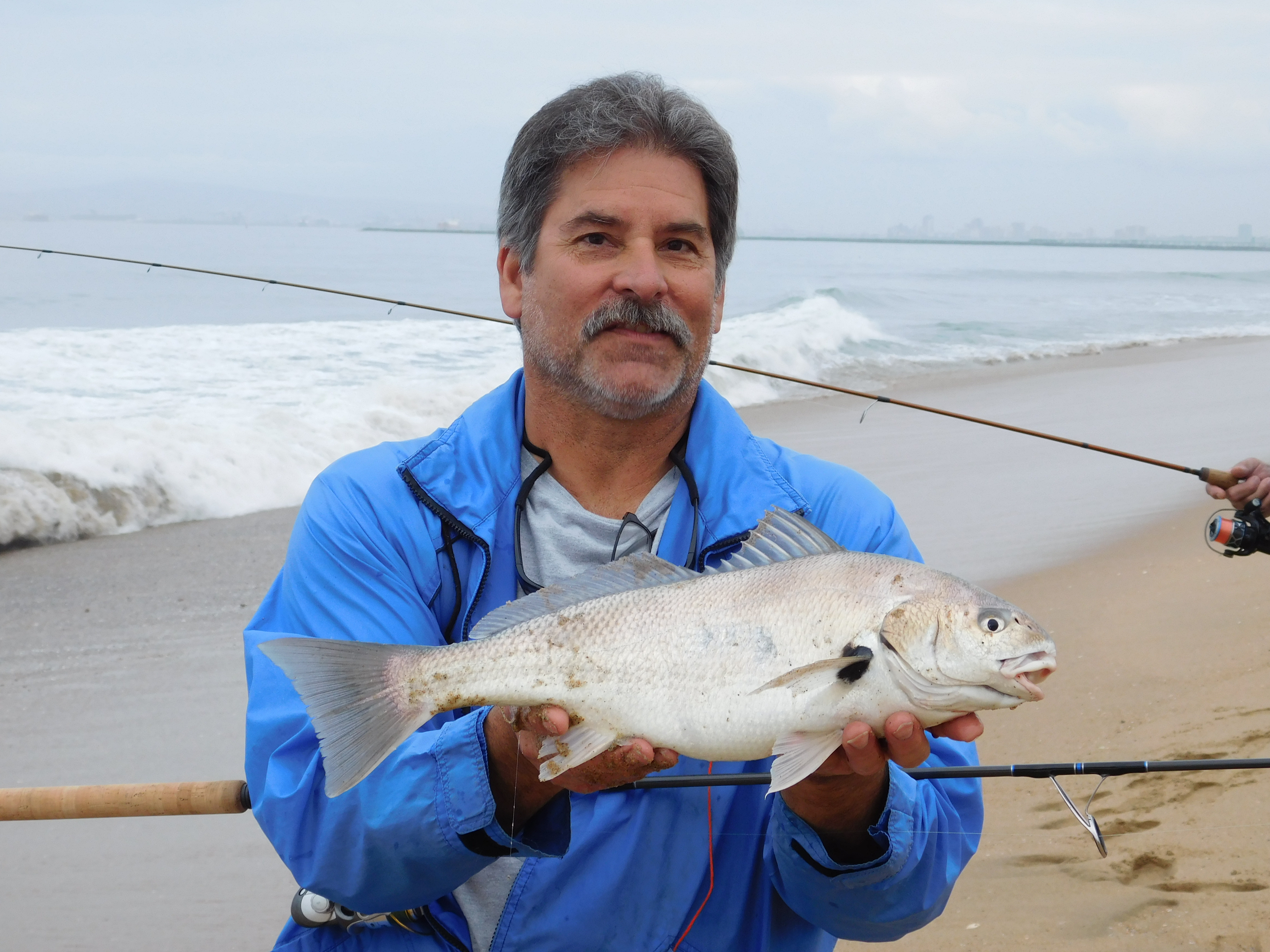 Articles,  - California Surf Fishing- A Light Line  Revolution With Bill Varney
