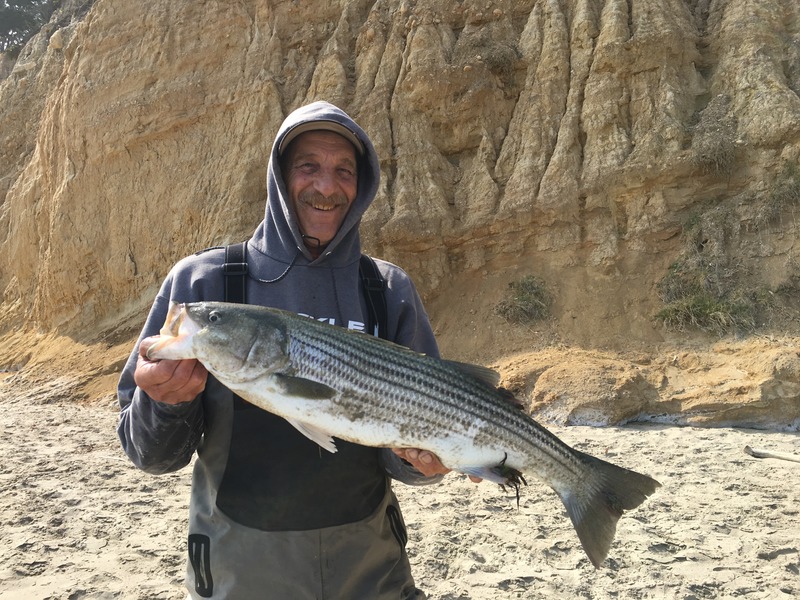 Articles   - California Surf Fishing- A Light Line