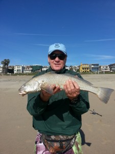 Nice corbina Steve! Caught this week in the South Bay...
