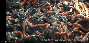 worm video